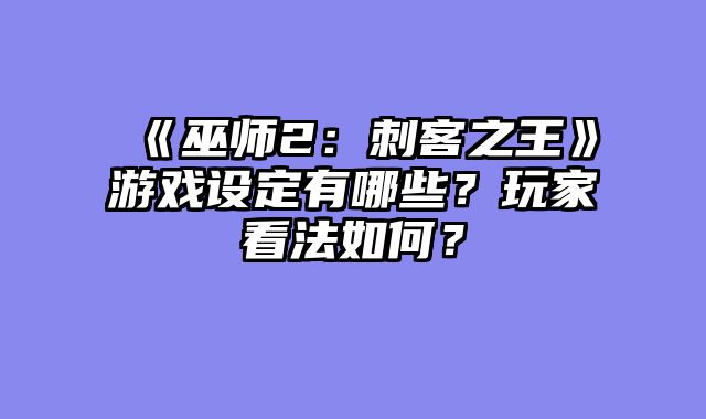 《巫师2：刺客之王》游戏设定有哪些？玩家看法如何？