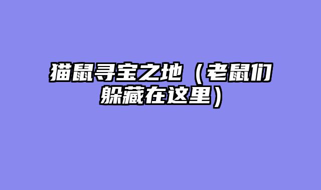 猫鼠寻宝之地（老鼠们躲藏在这里）