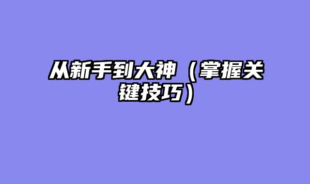 从新手到大神（掌握关键技巧）