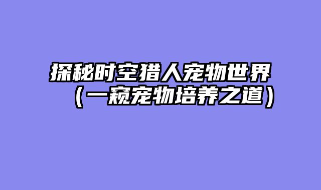 探秘时空猎人宠物世界（一窥宠物培养之道）