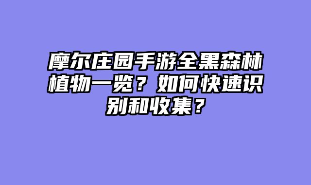摩尔庄园手游全黑森林植物一览？如何快速识别和收集？