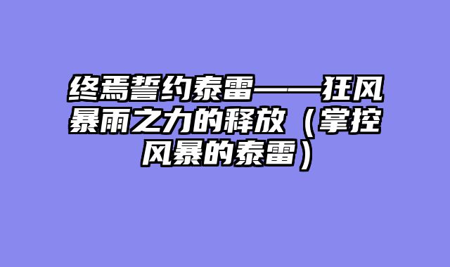 终焉誓约泰雷——狂风暴雨之力的释放（掌控风暴的泰雷）