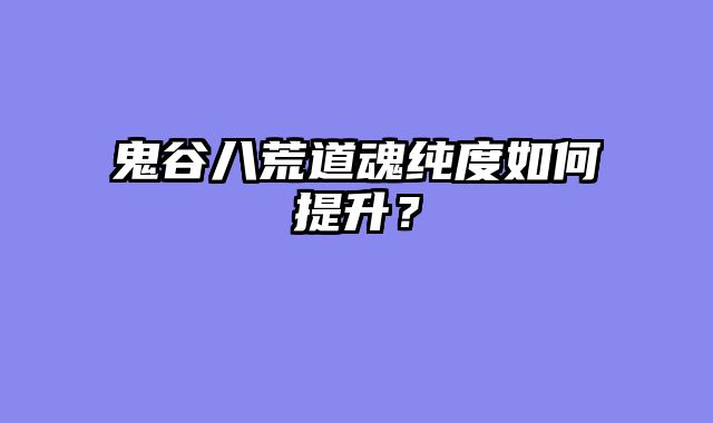 鬼谷八荒道魂纯度如何提升？